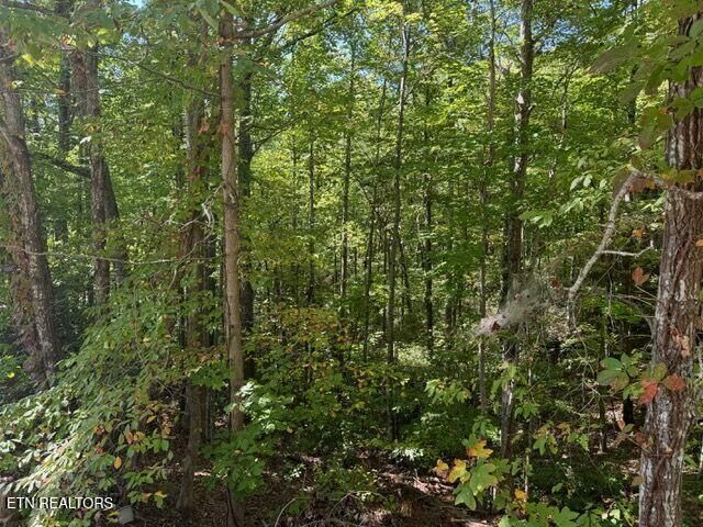 Property Photo:  Lot 17 Deer Path Lane  TN 37738 