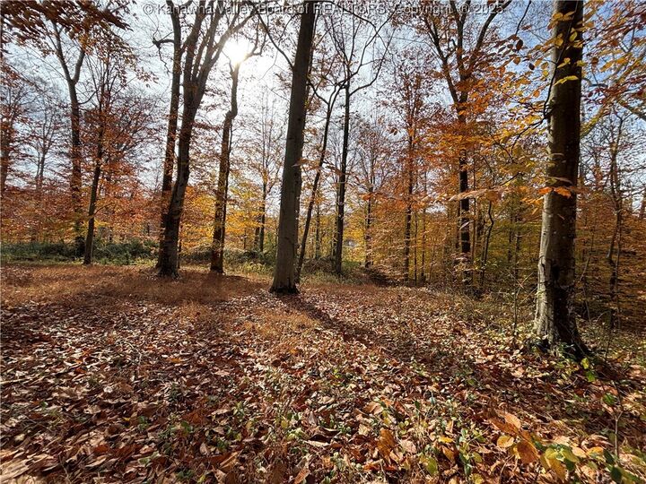 Property Photo: 0 Cobblestone Lane WV 25177