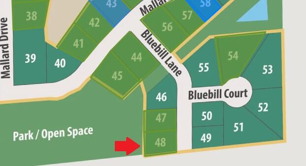 Lt48 Bluebill Ln  Grafton WI 53024 photo