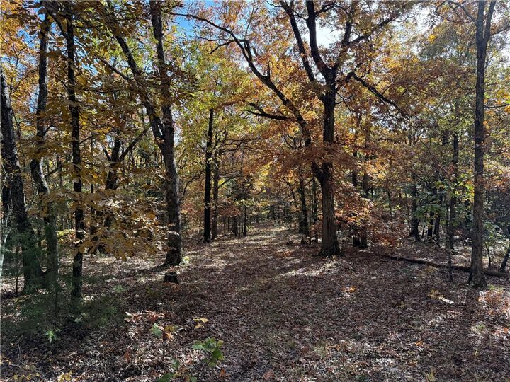 Property Photo:  14710 Summer Shade Road  AR 72774 
