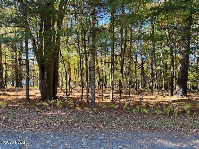 Property Photo: Lot 226 Hound Road PA 18328