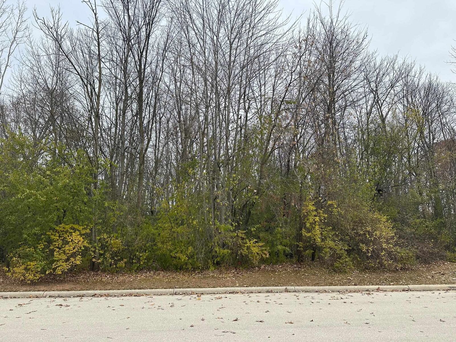 Property Photo: Spicewood Court 4 WI 54180