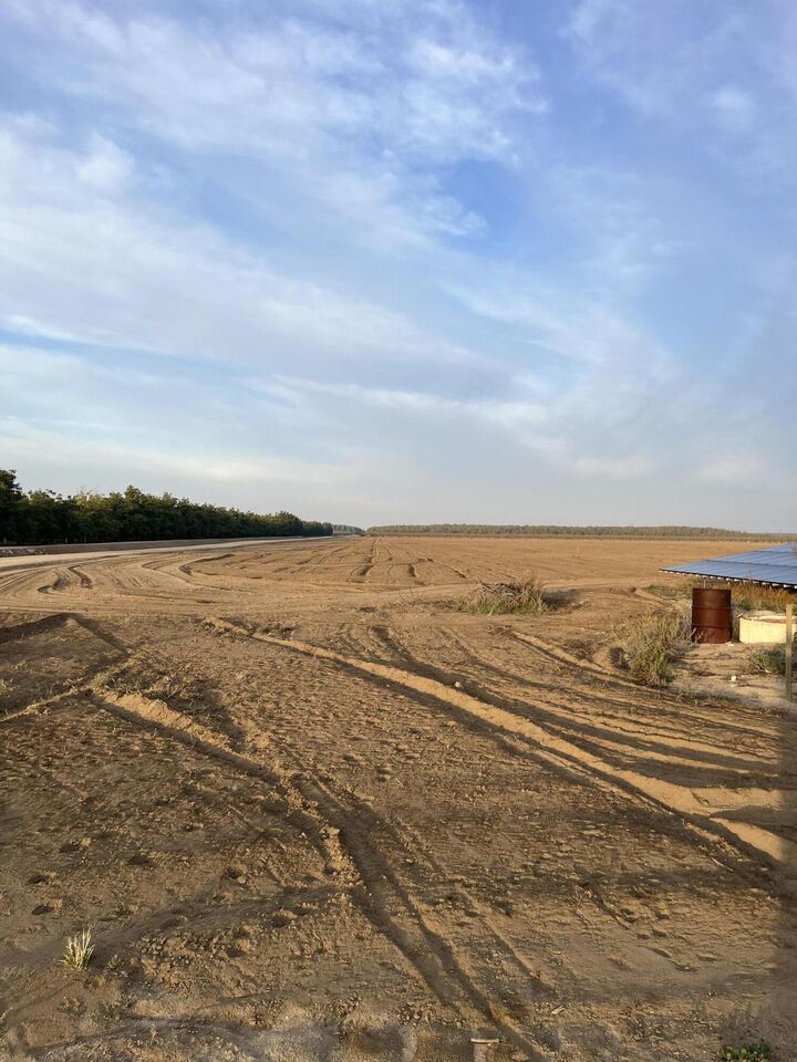 Property Photo: 13291 Rd 184 CA 93257