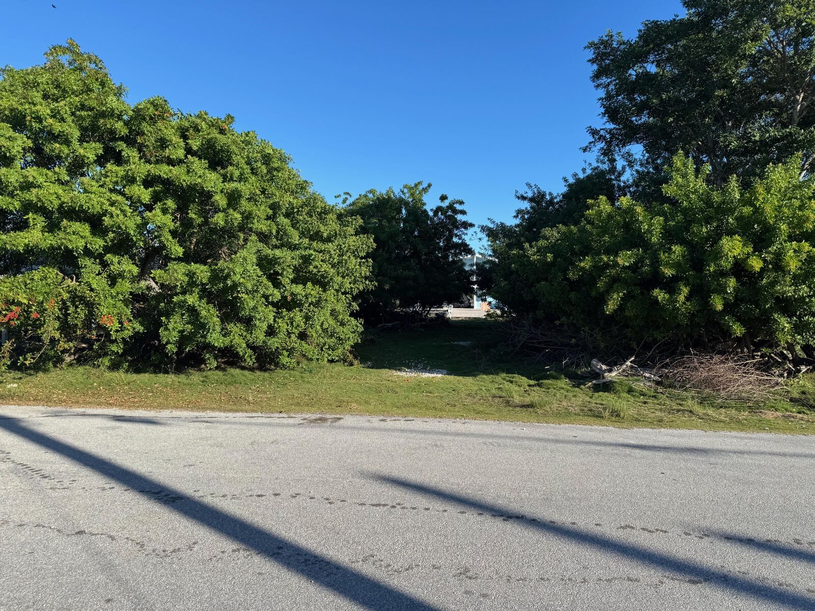 Property Photo:  29141 Mango Lane  FL 33043 