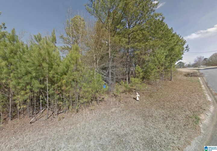 Property Photo:  151 Plantation Drive 1  AL 35128 