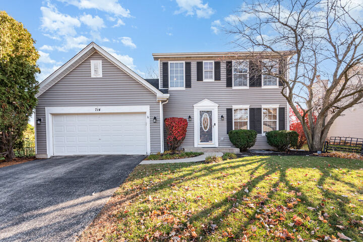 714 Pinehurst Lane  Oswego IL 60543 photo