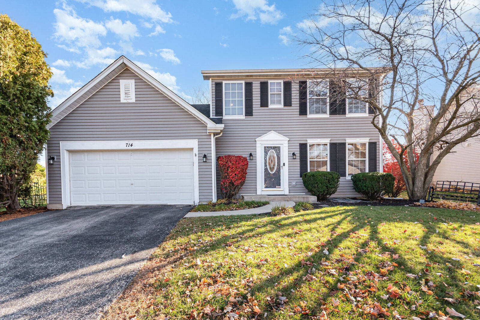 Property Photo:  714 Pinehurst Lane  IL 60543 