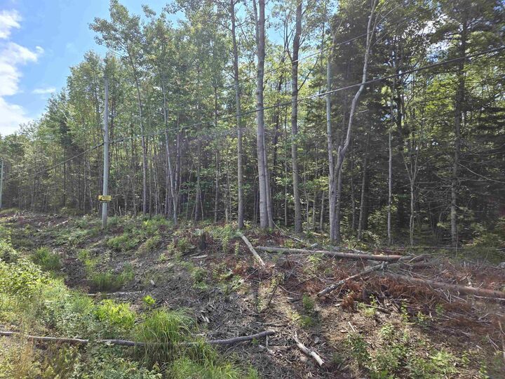 Property Photo:  Lot 1 Conquerall Road  NS B4V 0J6 