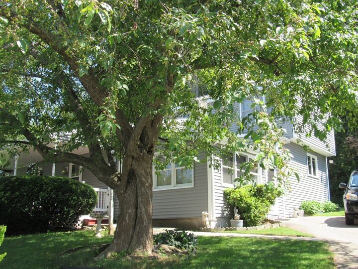 Property Photo:  30 Taft Ave  MA 01756 