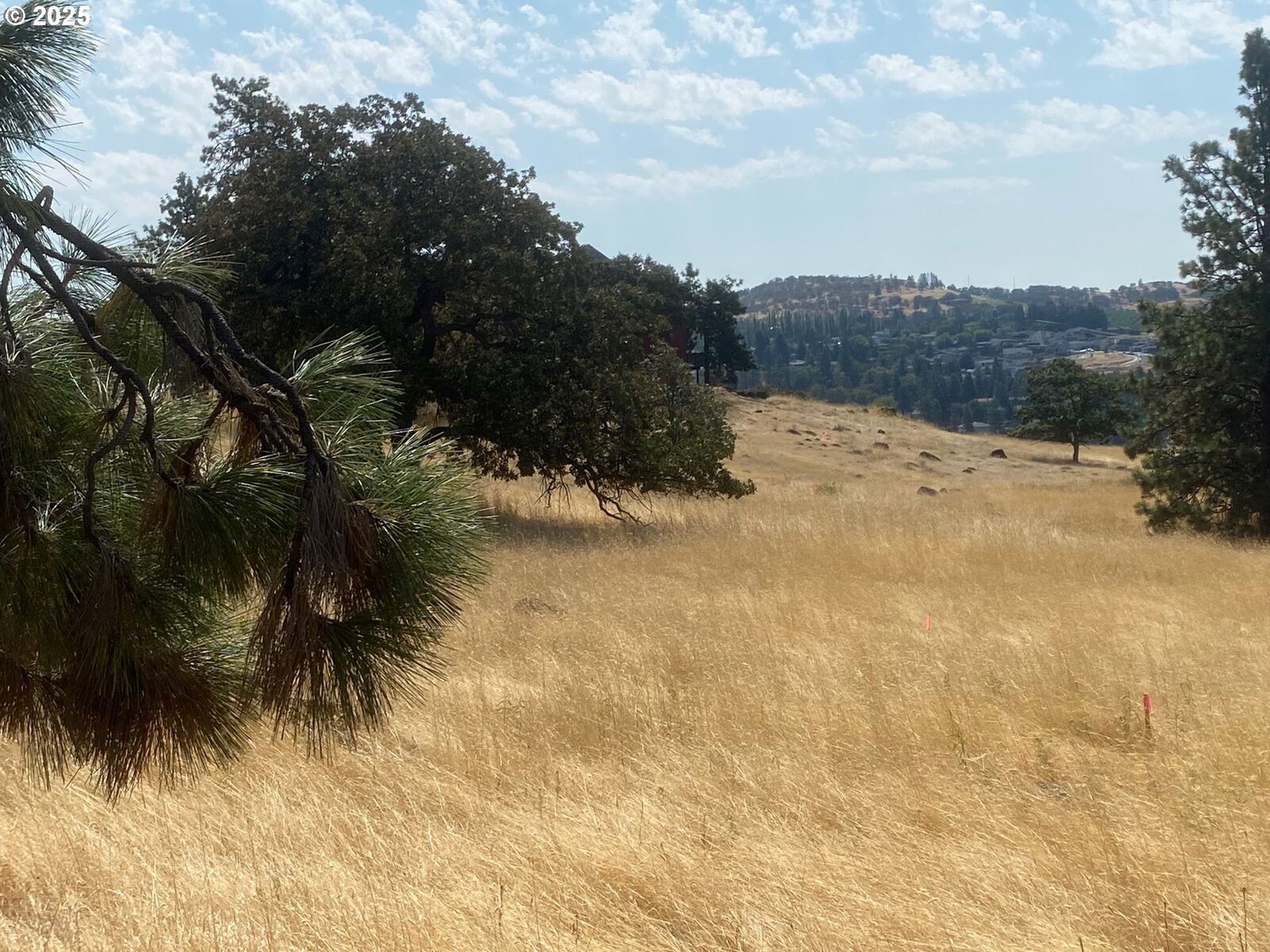 Property Photo:  Sandstone Way  OR 97058 