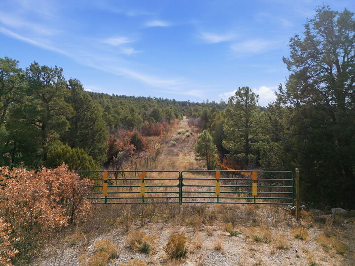 11 Hayner Court  Tijeras NM 87059 photo