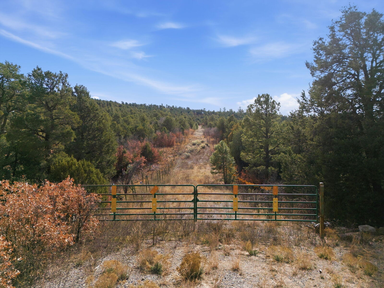 Property Photo: 11 Hayner Court NM 87059