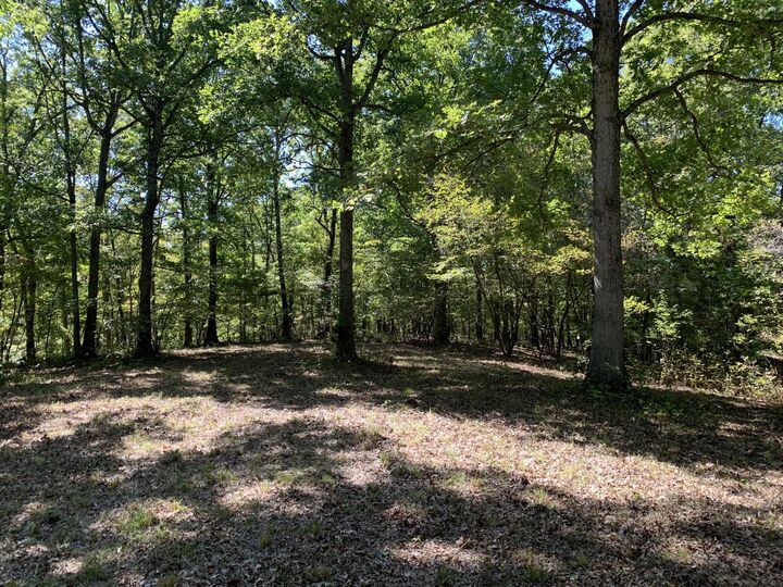 Property Photo:  Branch Road  MO 65251 