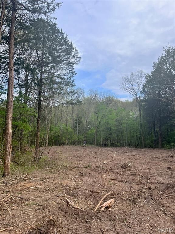 Property Photo: 2244 Liberty Crossing Trail MO 63050