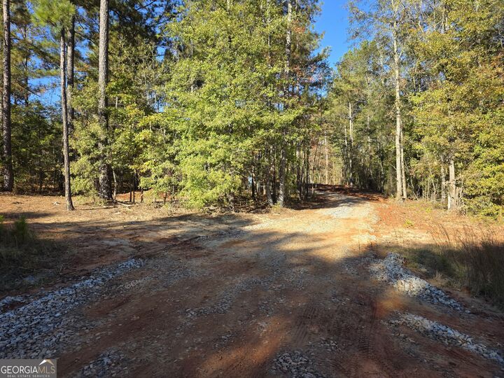 Property Photo:  277 Douglas Creek Road  GA 30216 
