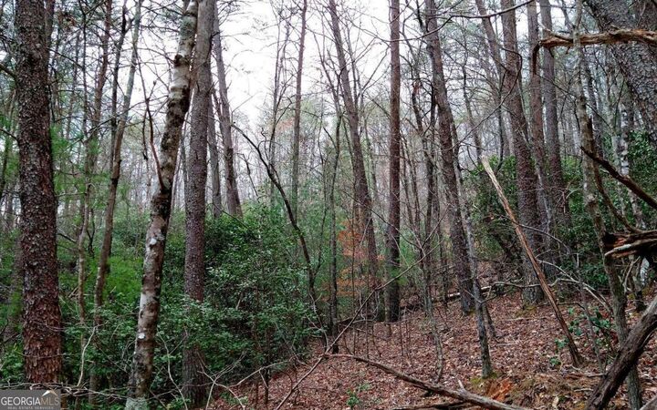 Property Photo: 20 Ac Hidaway Drive GA 30536