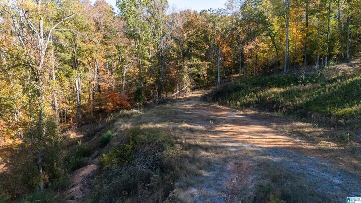 Property Photo: 8024 Eagle Crest Lane 15 AL 35242