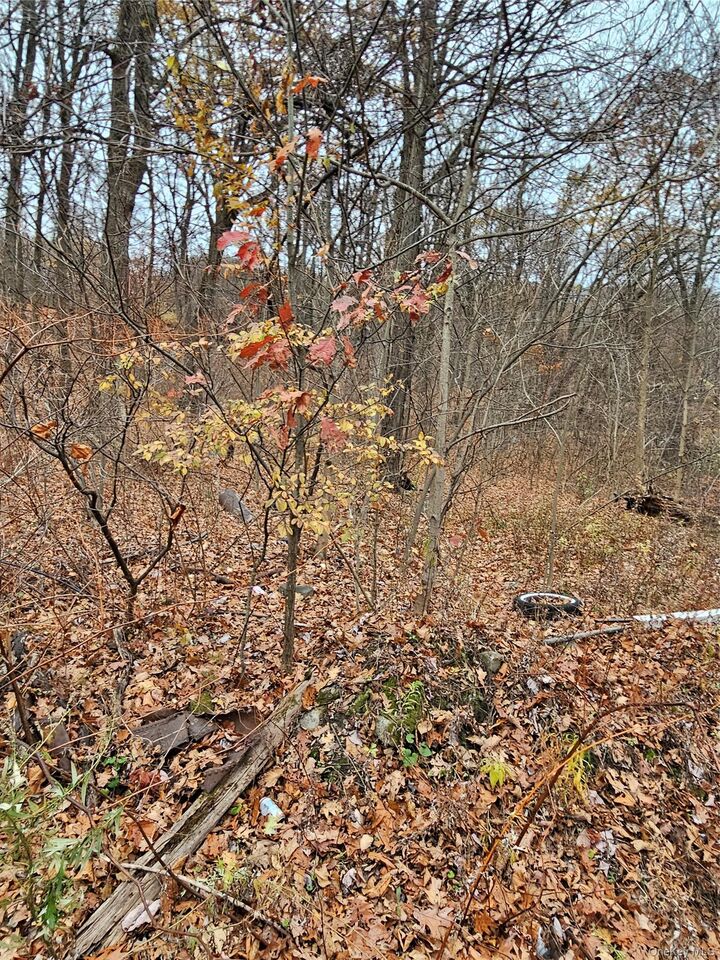 Property Photo:  73 Sylvan Trail  NY 10950 