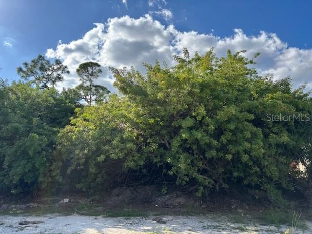 Property Photo:  4363 Boggs Street  FL 33948 