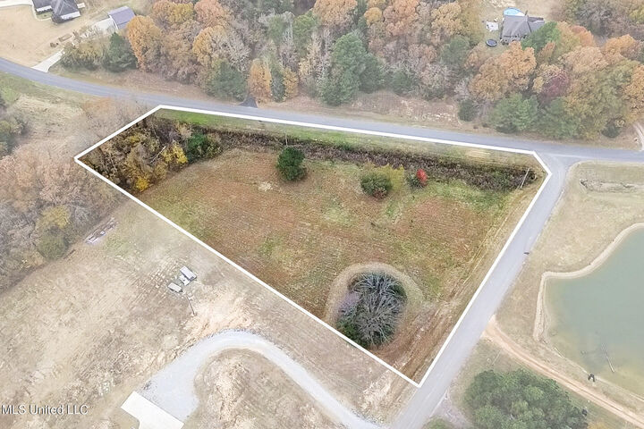 Property Photo:  14367 Valley View Cove  MS 38611 