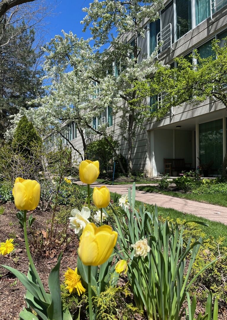 Property Photo: 3451 Harrison Street IL 60201