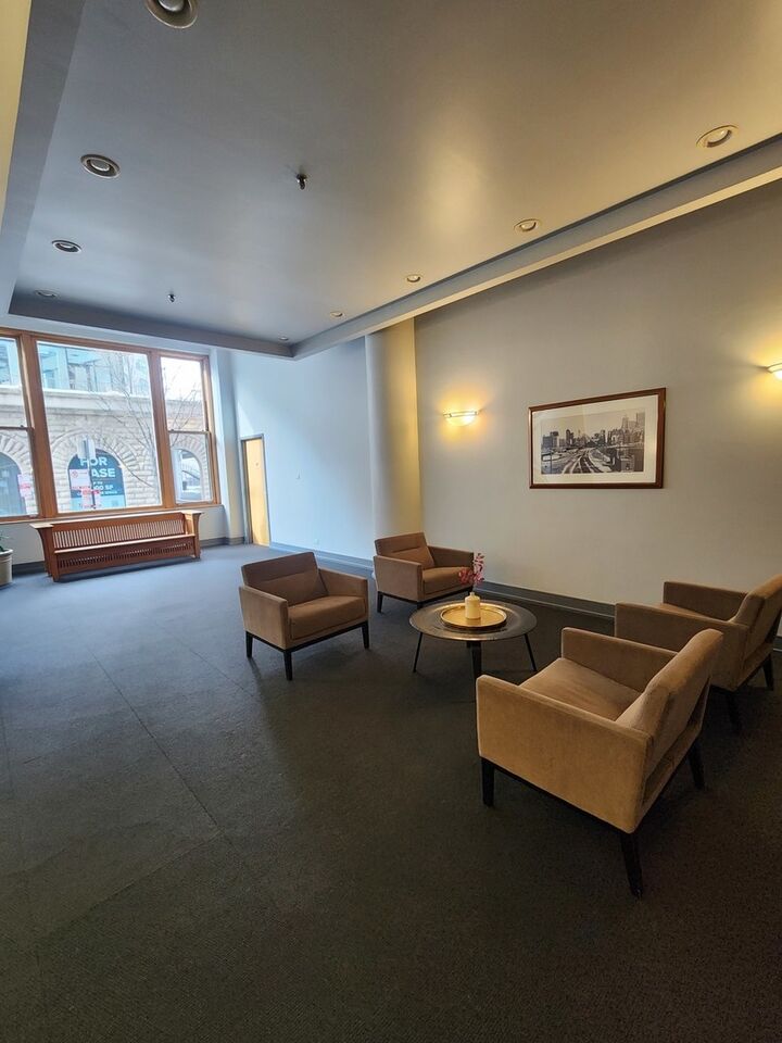 Property Photo: 801 S Wells Street 608 IL 60607