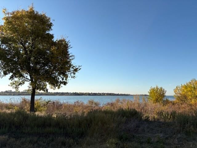 Property Photo: 1175 Harbor Springs Drive TX 75036