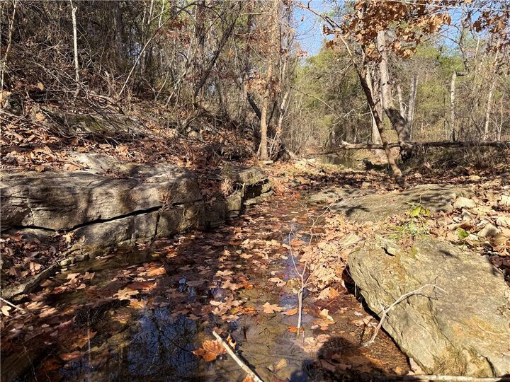 Property Photo:  Owens Lane  AR 72668 