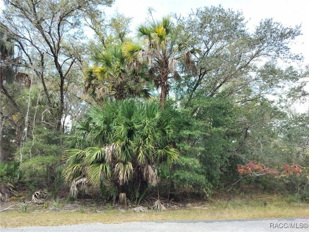 Property Photo: 9999 N Snowball Point FL 34428