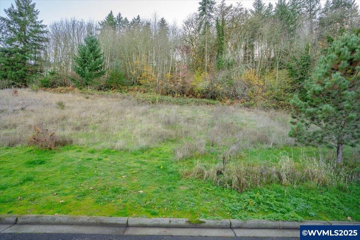 Property Photo:  2446 Morrow Ct NW  OR 97304 