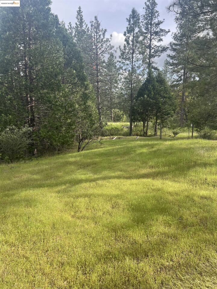 00 Italian Bar Rd  Twain Harte CA 95383 photo