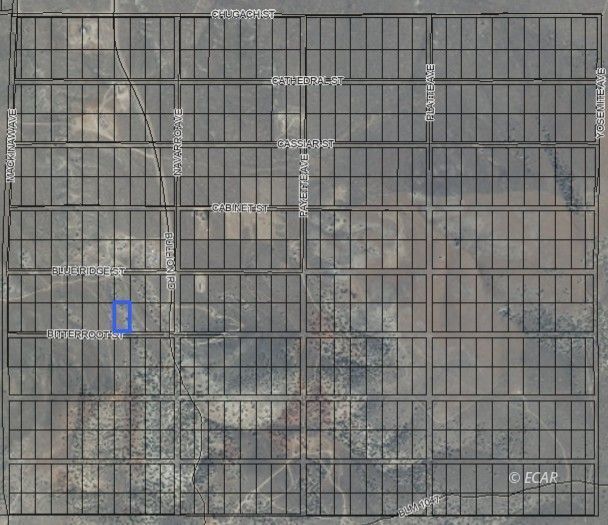 Property Photo:  066020019 Bitterroot Street  NV 89801 