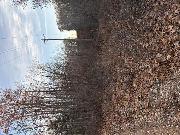 Property Photo:  Tbd Hylton Drive  MO 65717 