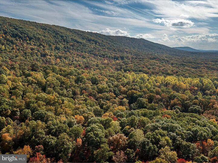 Property Photo: Tuscarora Pike Parcel 13 WV 25427