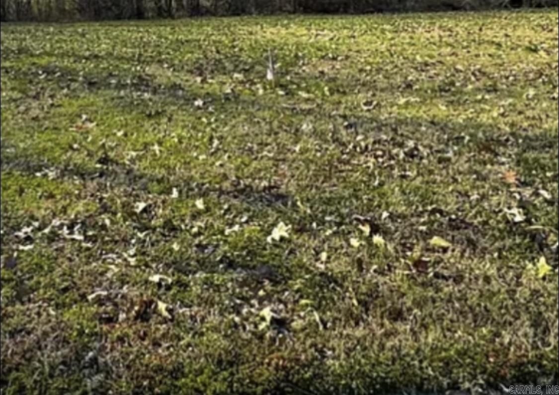 Property Photo:  1517 Granger  AR 72405 
