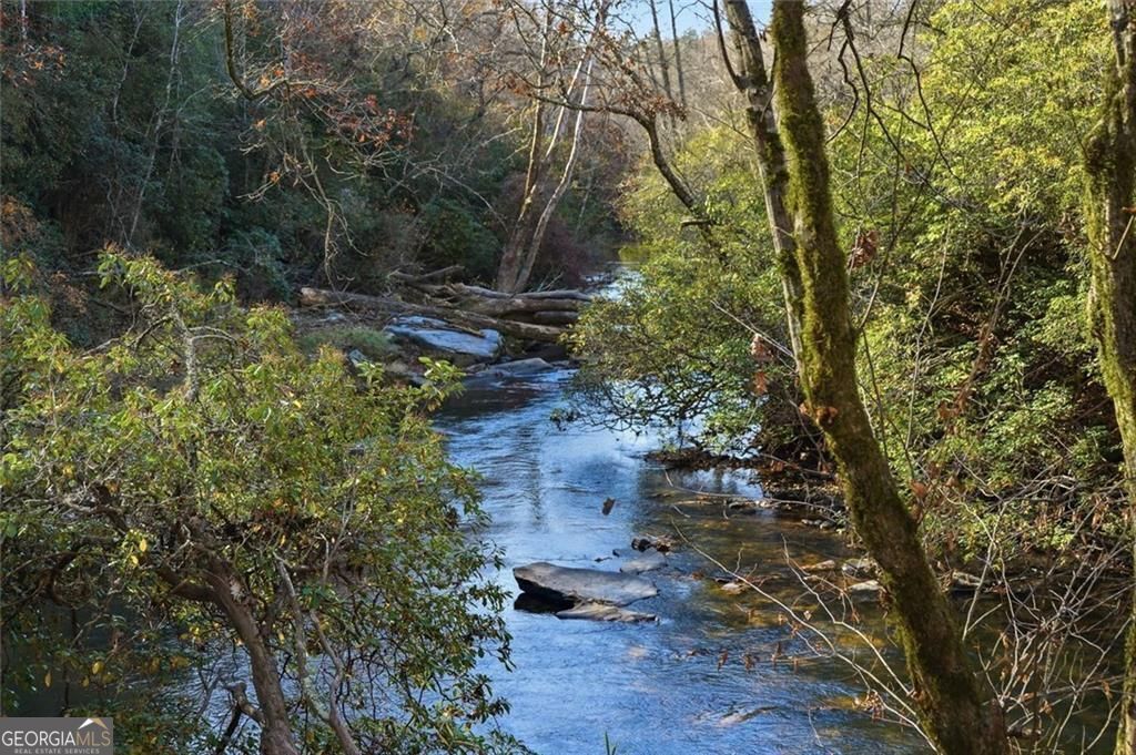 Property Photo:  0 Lower Dowda Mill Road  GA 30143 