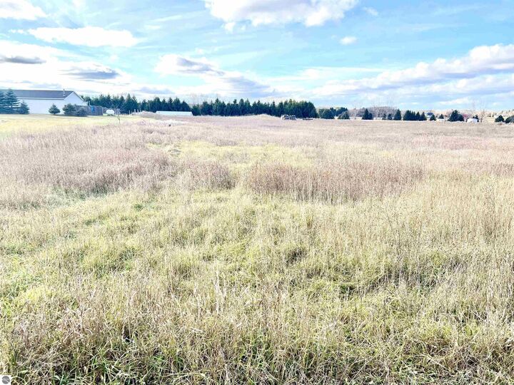 Property Photo: 0 Sparling Road MI 49649