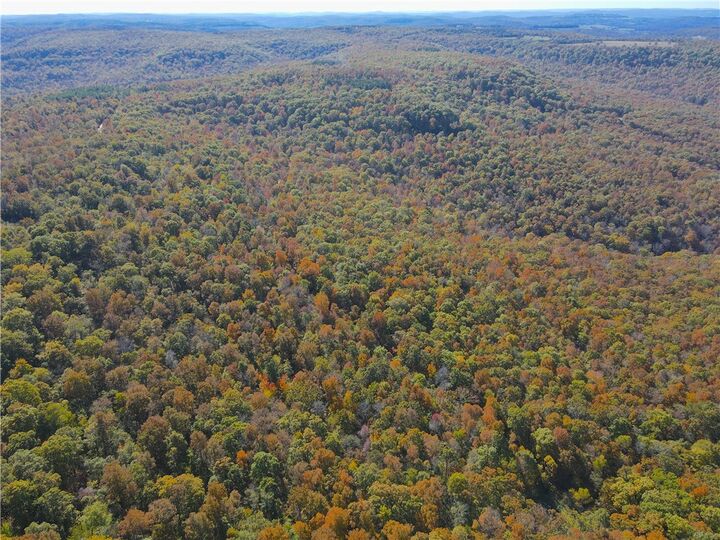 Property Photo:  Cr 935  AR 72616 