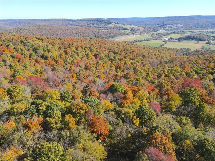 Cr 935  Berryville AR 72616 photo