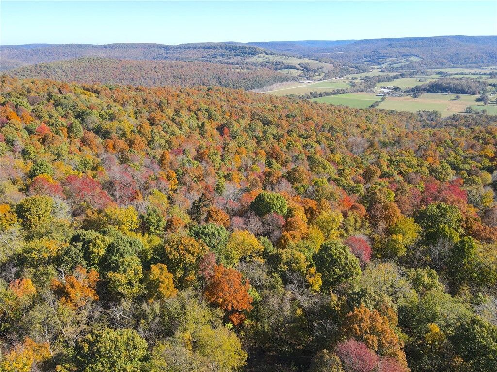 Property Photo:  Cr 935  AR 72616 