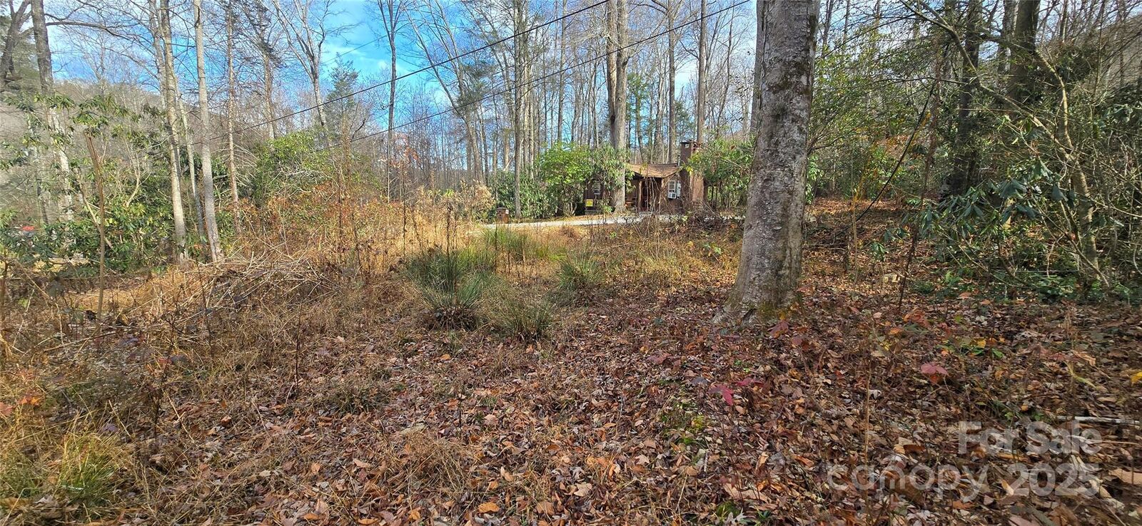 Property Photo: Lot 24 Twinbrook Lane NC 28751