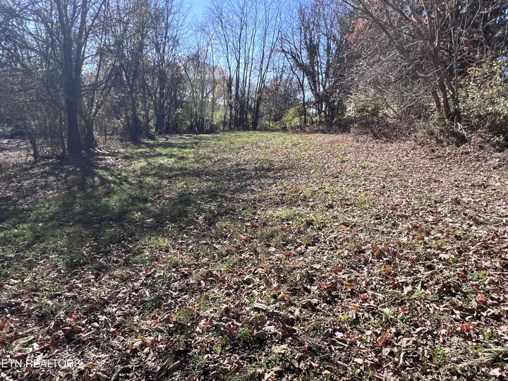 Property Photo:  Off Jefferson St  TN 37890 