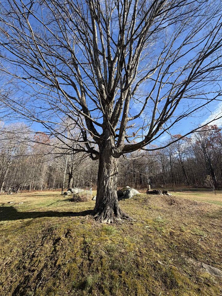 Property Photo: 00 Pease Road NH 03253