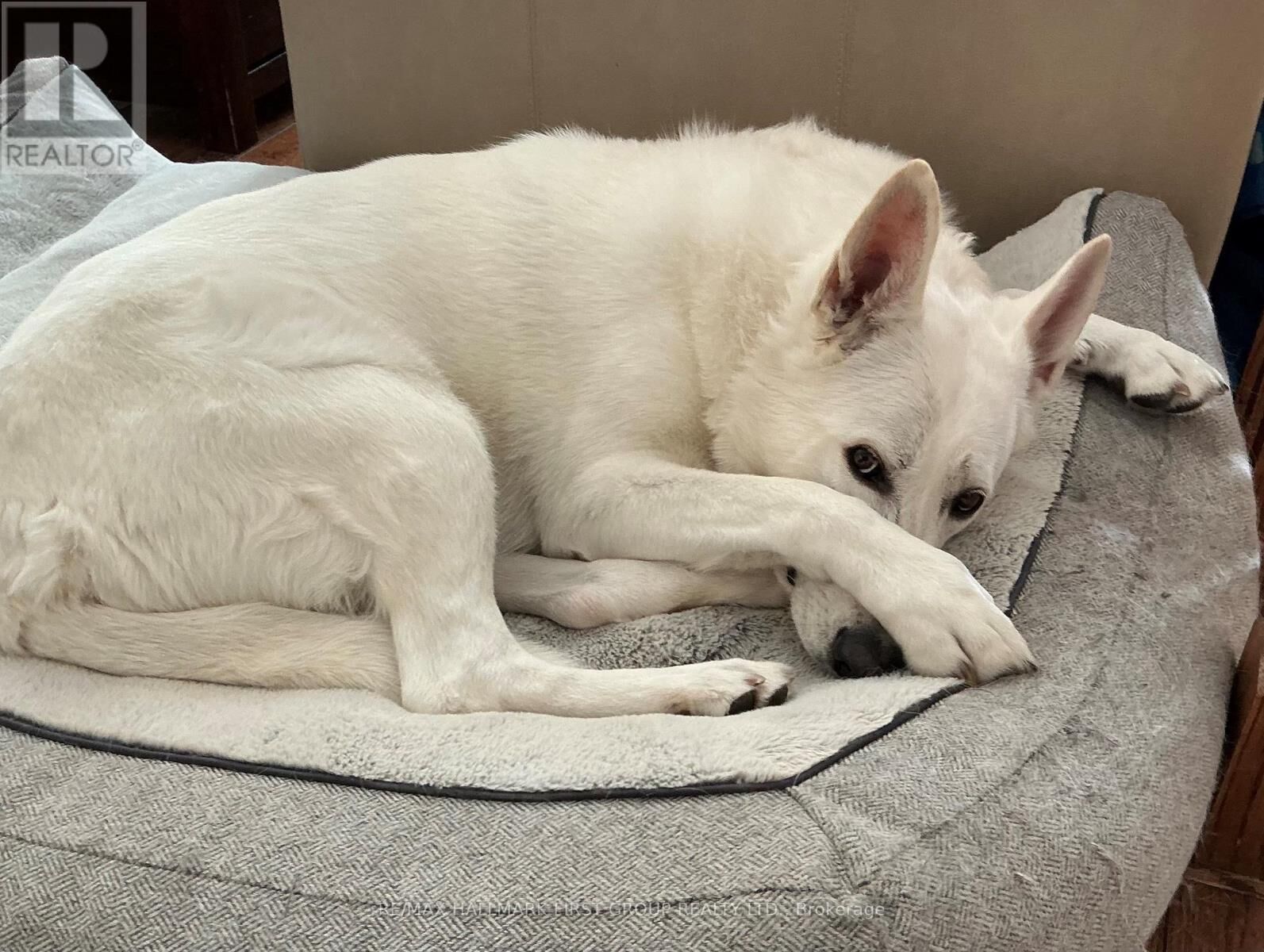 Property Photo:  361 Linden Street 3  ON L1H 6R6 