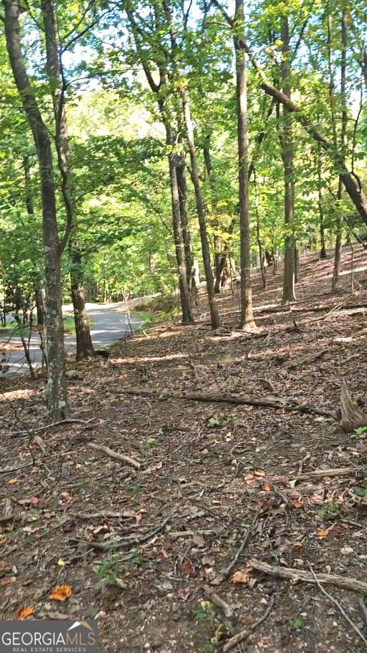 Property Photo:  315 Windflower Drive  GA 30534 