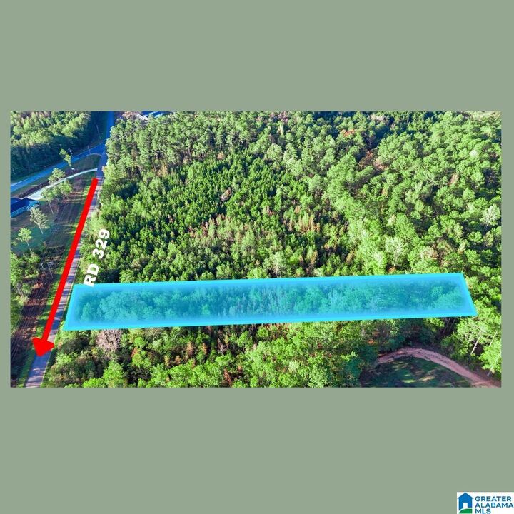 Property Photo:  Tract 2A County Road 329 Tract 2A  AL 36278 