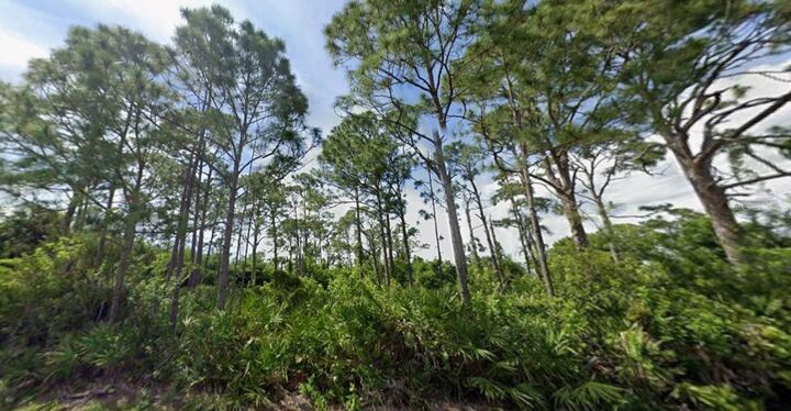 Property Photo: 5249 Wynn Terrace FL 33981