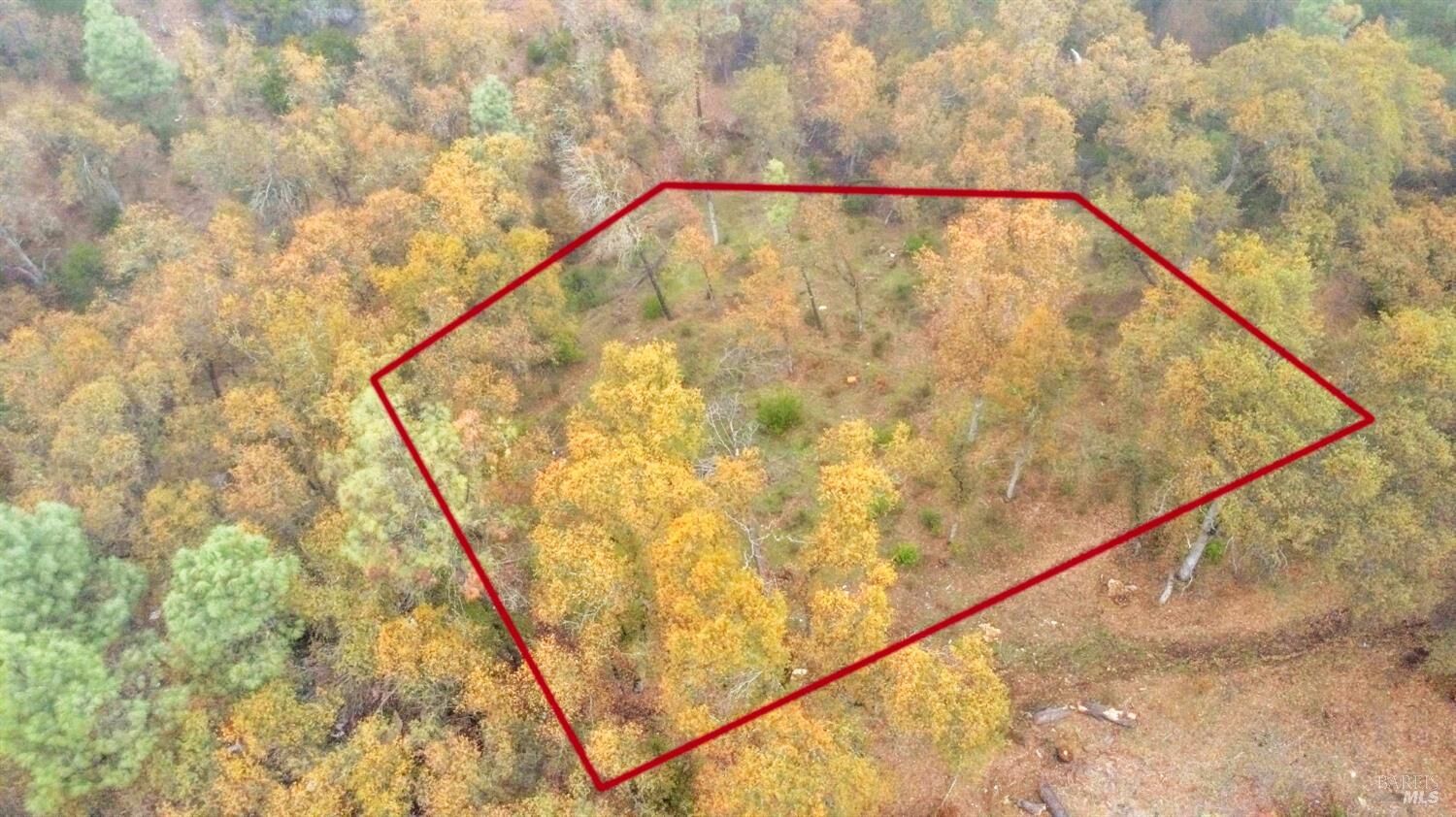 Property Photo:  15386 Palm Avenue  CA 95422 