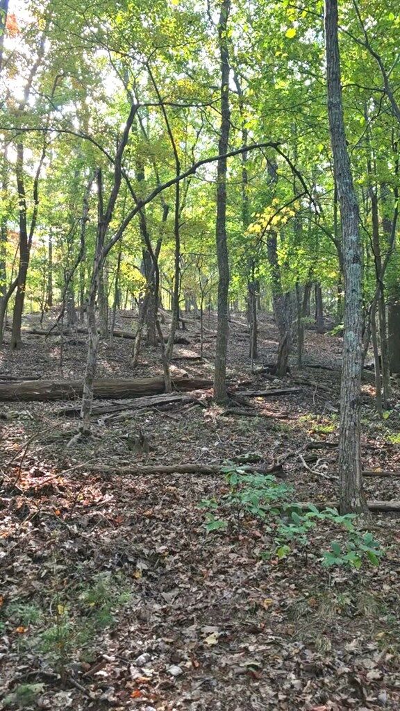 Property Photo:  315 Windflower Drive  GA 30534 