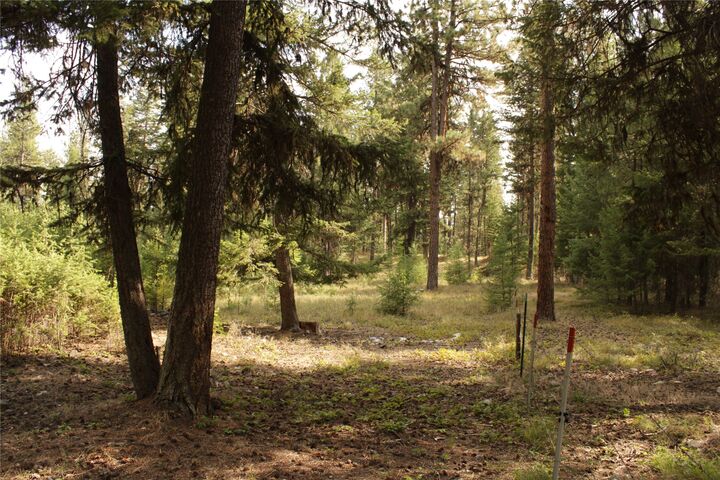 Property Photo:  27603 Issac Creek Road  MT 59846 